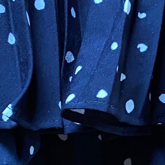 Ann Taylor Navy & White Pleated Polka Dot Skirt - Picture 4 of 6